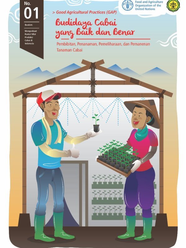 Budidaya CABAI YANG BAIK DAN BENAR