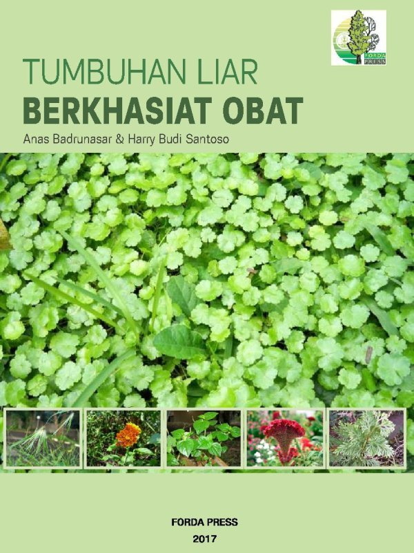 Tumbuhan LIAR Berkhasiat OBAT
