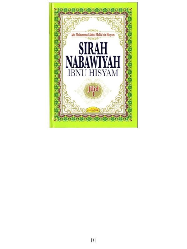 Sirah Nabawiyah Ibnu Hisyam Comb